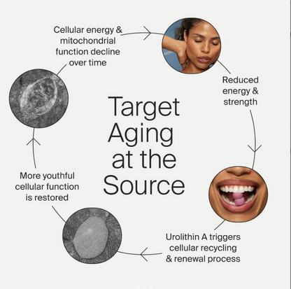 TimeCell™ Longevity Gummies