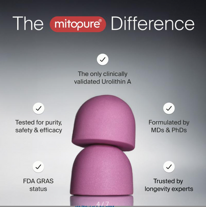 TimeCell™ Longevity Gummies